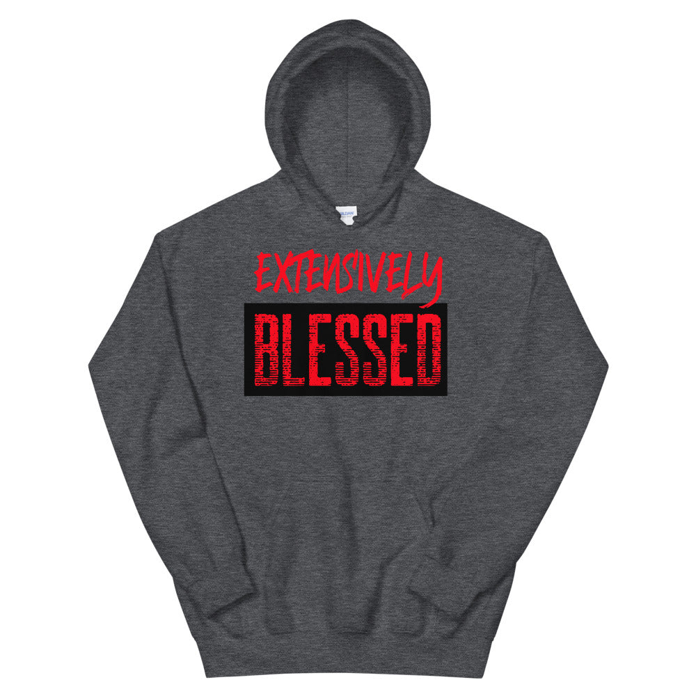 #Extensively Blessed Unisex Hoodie