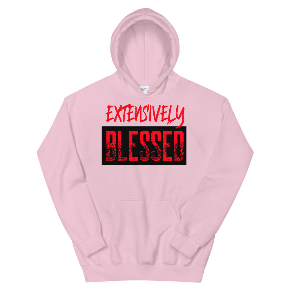 #Extensively Blessed Unisex Hoodie