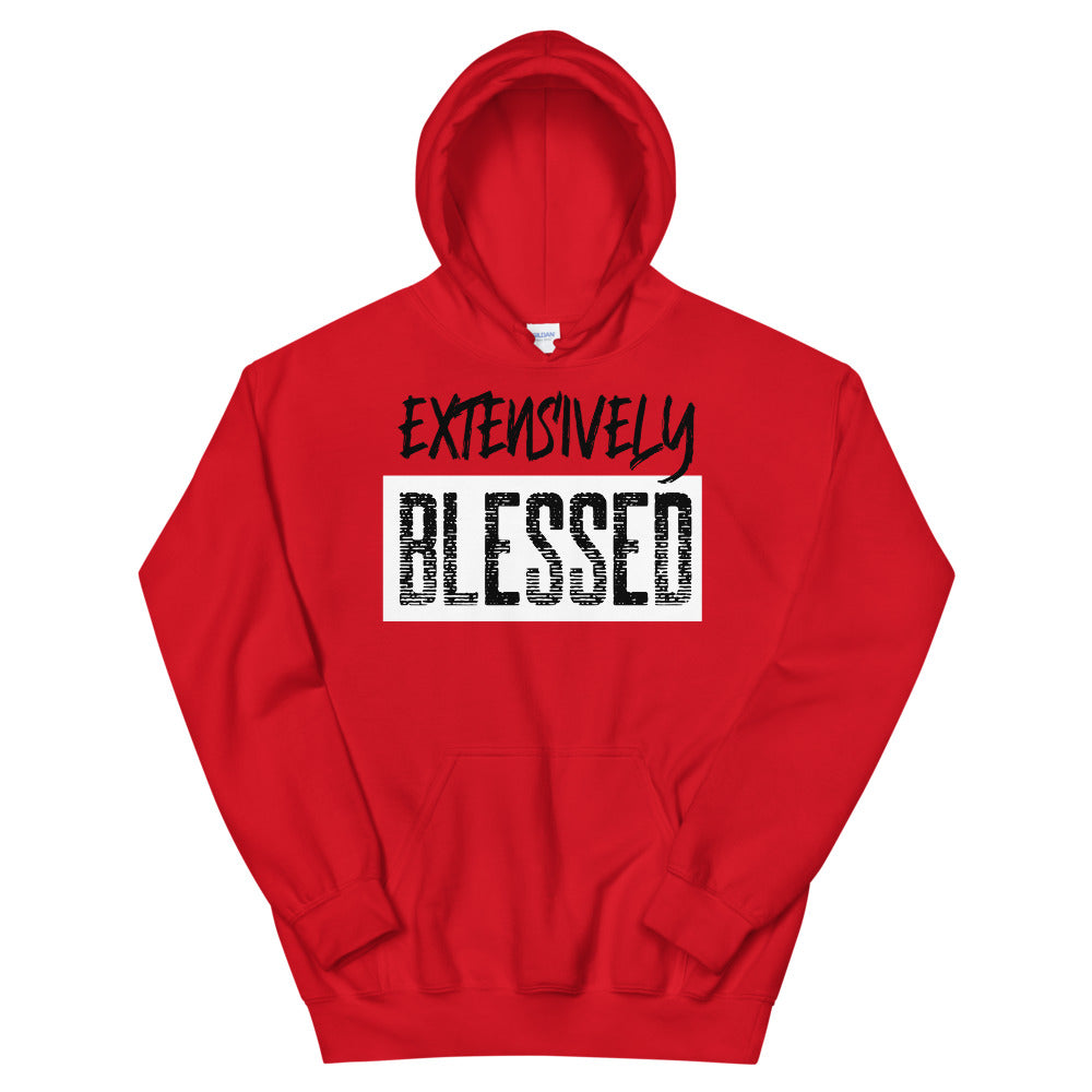 #Extensively Blessed Unisex Hoodie