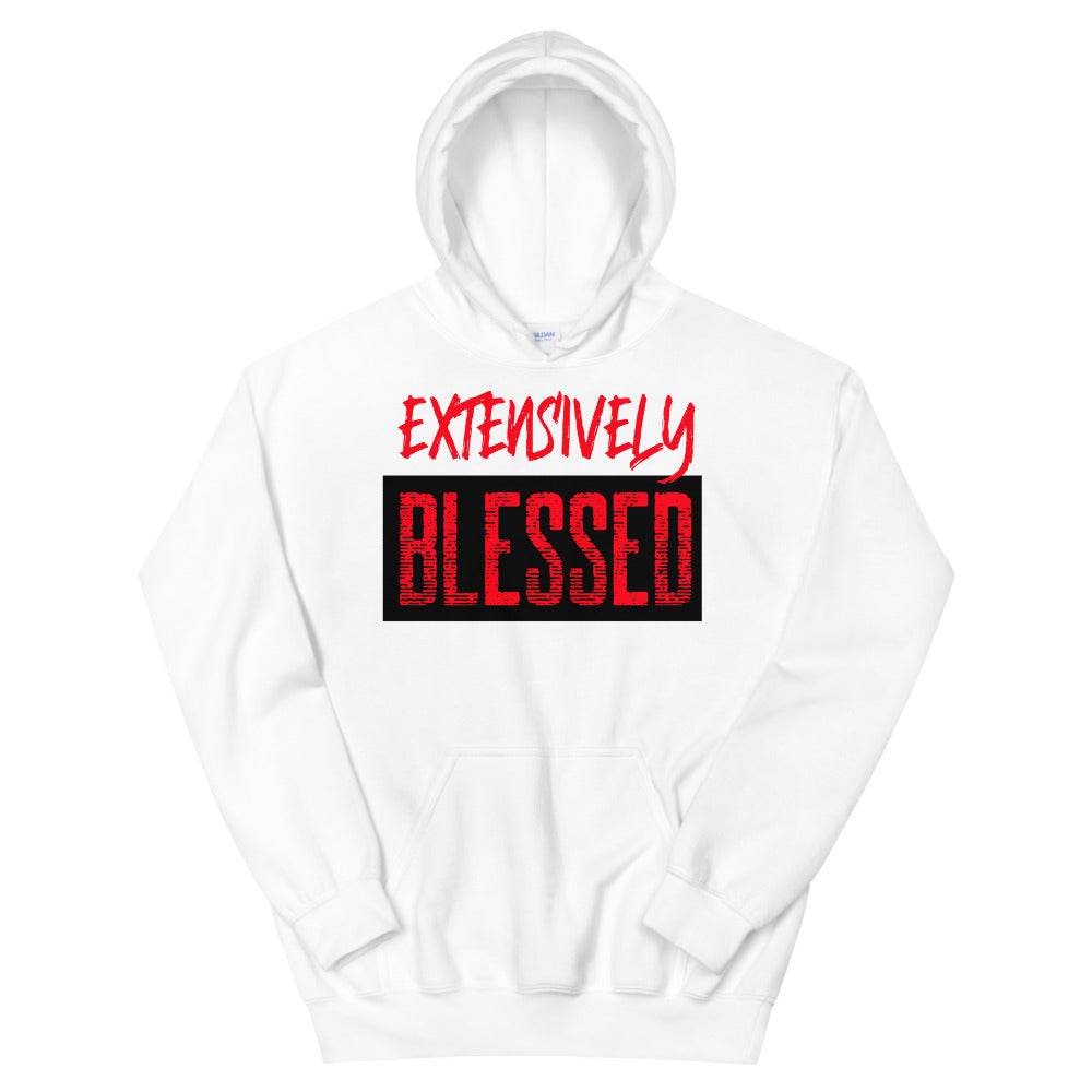 #Extensively Blessed Unisex Hoodie