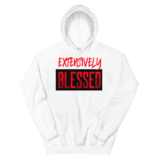#Extensively Blessed Unisex Hoodie